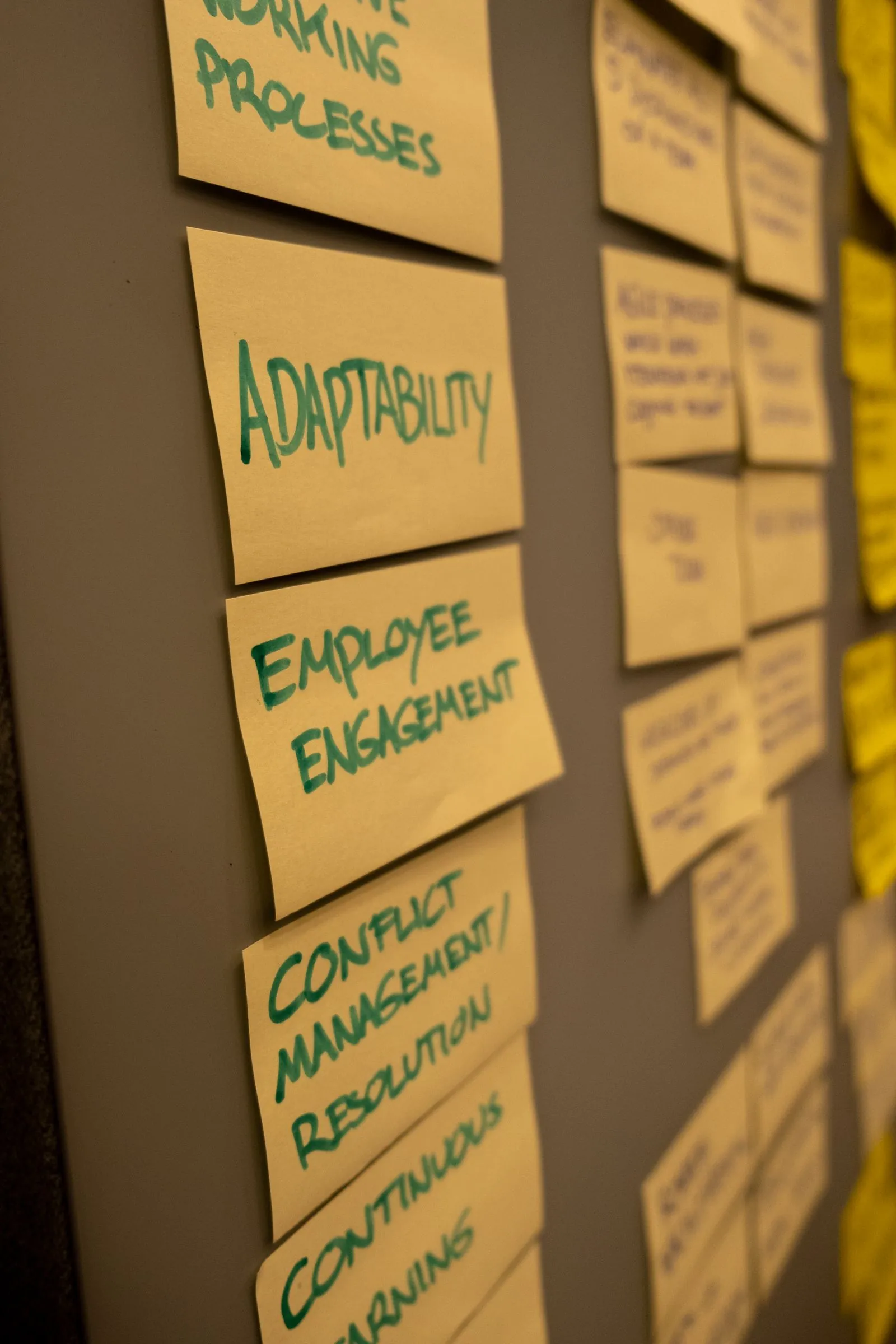 Analyst reviewing a back-office process map at a desk
